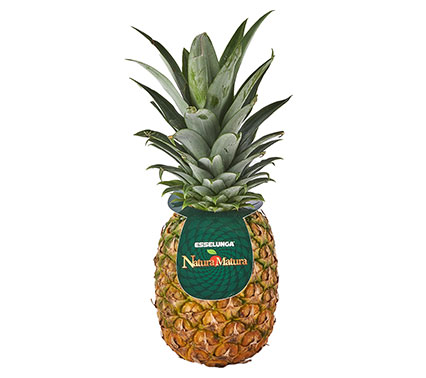 ananas