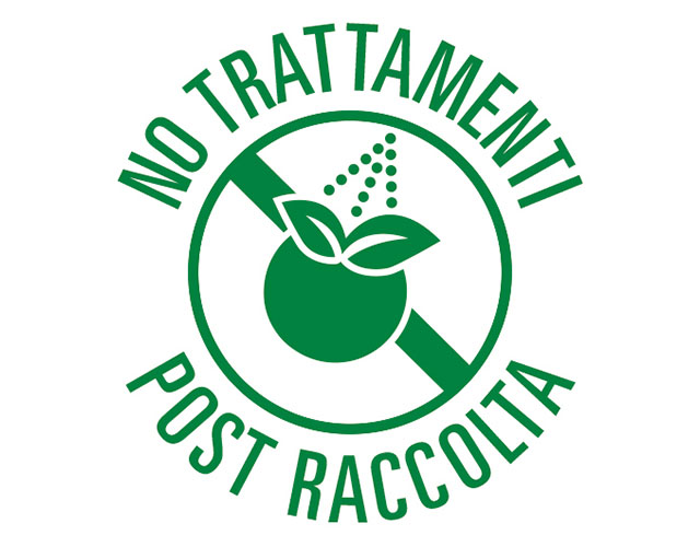 FOM - Fino Mornasco (CO) - viale Risorgimento