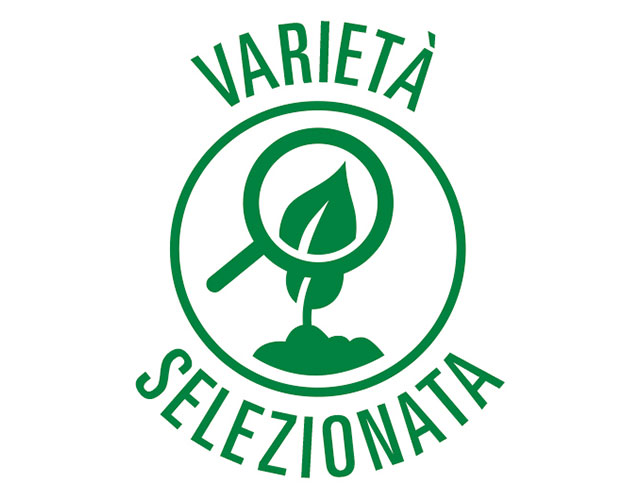 FOM - Fino Mornasco (CO) - viale Risorgimento