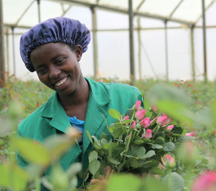 foto gestione di filiera